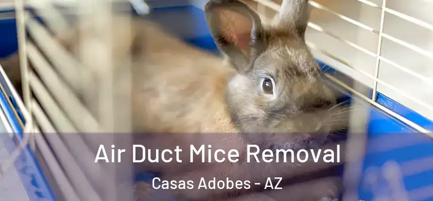 Air Duct Mice Removal Casas Adobes - AZ