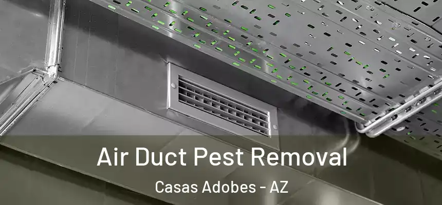 Air Duct Pest Removal Casas Adobes - AZ