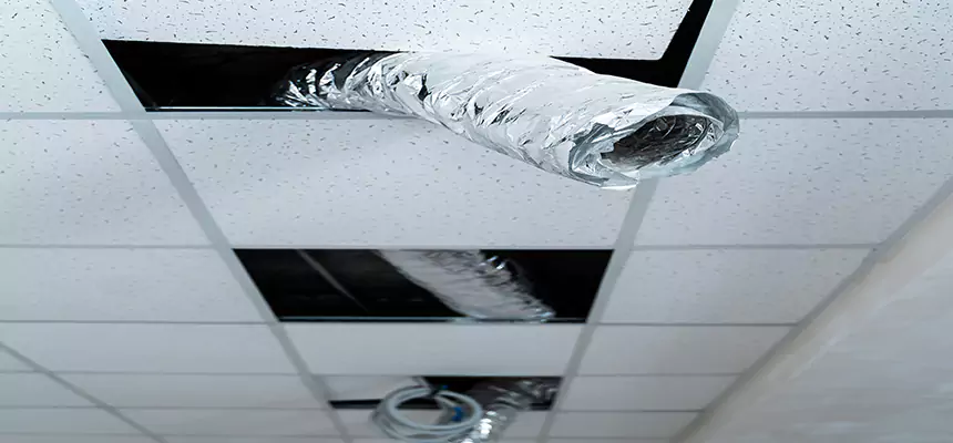 Affordable HVAC Sanitizing After Pest Removal in Casas Adobes