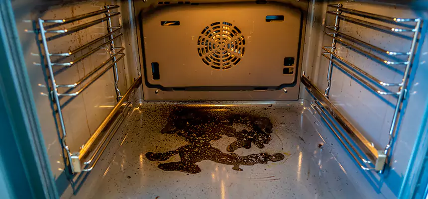 Our Dryer Vent Mold Cleaning Services in Casas Adobes, AZ