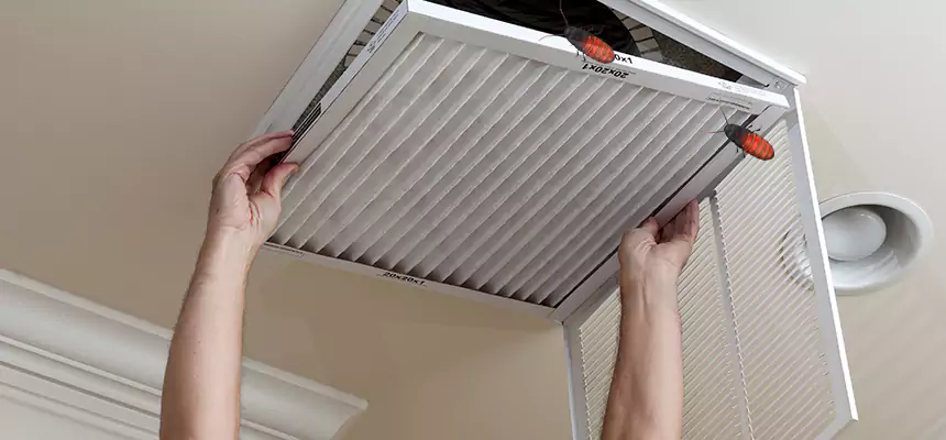 Our Insect Removal from Air Ducts Services in Casas Adobes, AZ