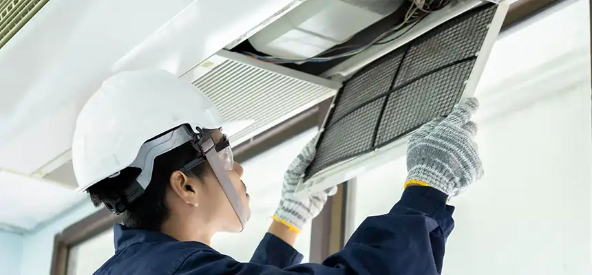 Our Lint Trap Cleaning Service Services in Casas Adobes, AZ