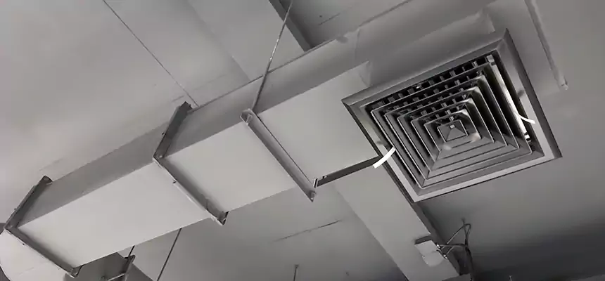 Our Pest Removal From Ducts Services in Casas Adobes, AZ