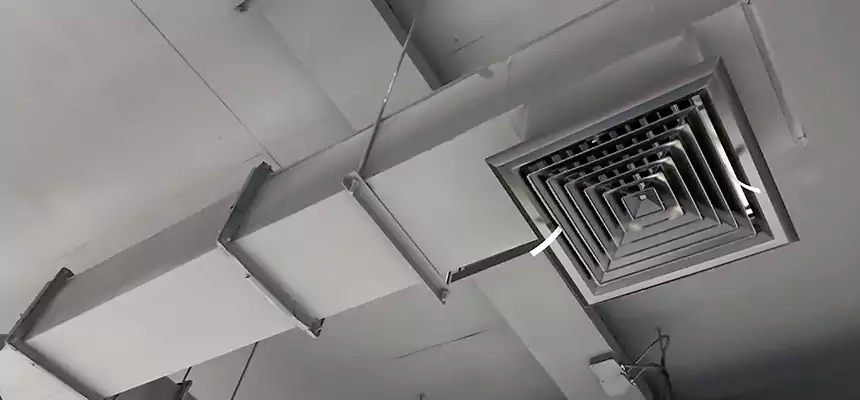 Our Rodent Droppings In Vents Services in Casas Adobes, AZ