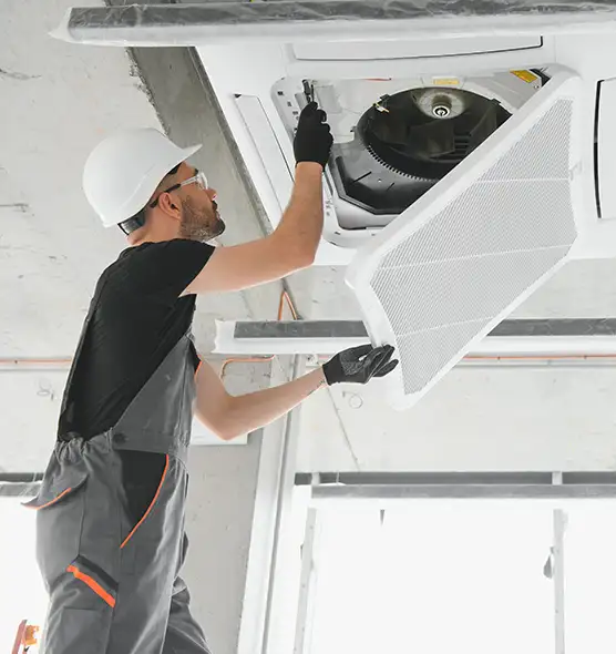 About Air Duct Rodent Removal in Casas Adobes, AZ