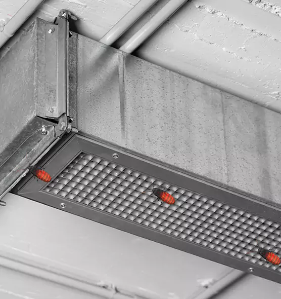 Affordable Insect Removal from Air Ducts in Casas Adobes, AZ