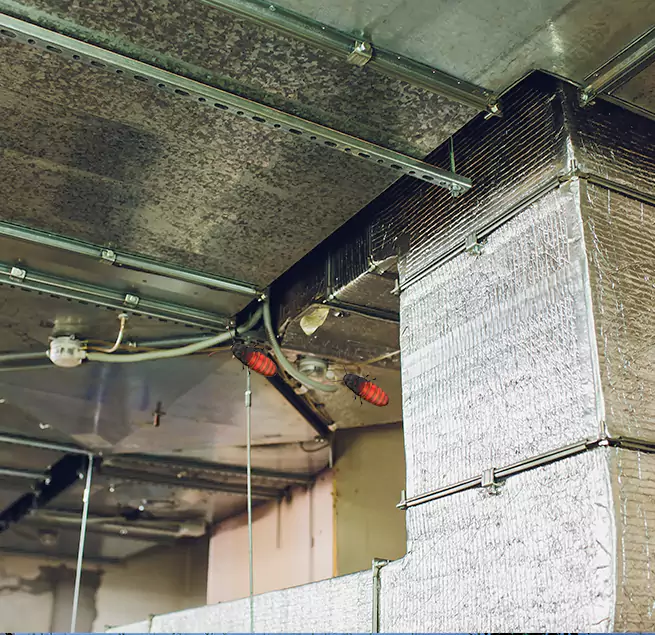 Why Homeowners & Businesses Trust Us in Casas Adobes, AZ?